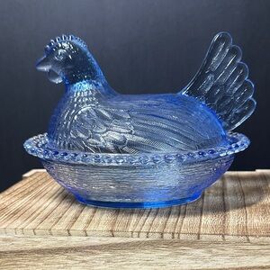 Indiana Cornflower hen on nest